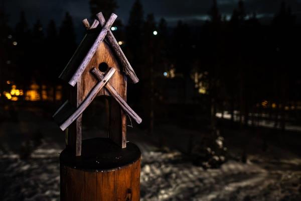 Night shot of wooden birdhouse