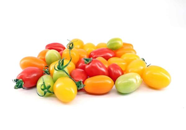 Plum tomatoes in a variety of colors against a white background