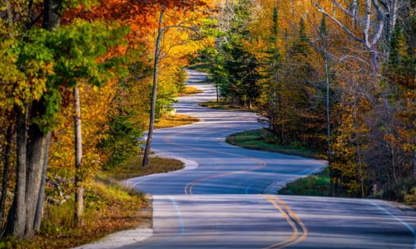 Wisconsin, Nature, Autumn, Door County, Winding Road