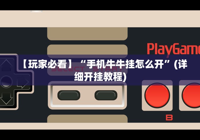 玩家辅助神器:“放炮罚跑胡子技巧”分享必要外挂教程