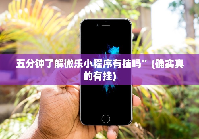 五分钟了解微乐小程序有挂吗”(确实真的有挂)