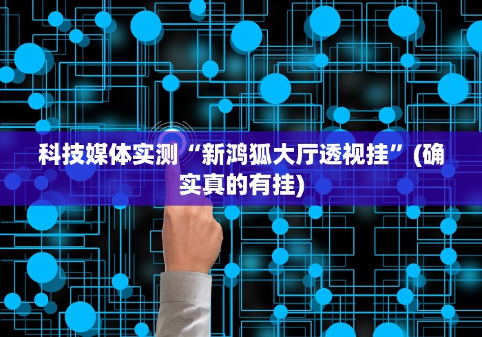 科技媒体实测“新鸿狐大厅透视挂”(确实真的有挂)
