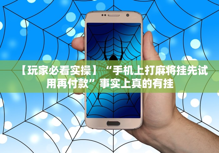 【玩家必看实操】“手机上打麻将挂先试用再付款”事实上真的有挂