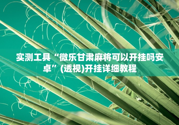 实测工具“微乐甘肃麻将可以开挂吗安卓”(透视)开挂详细教程