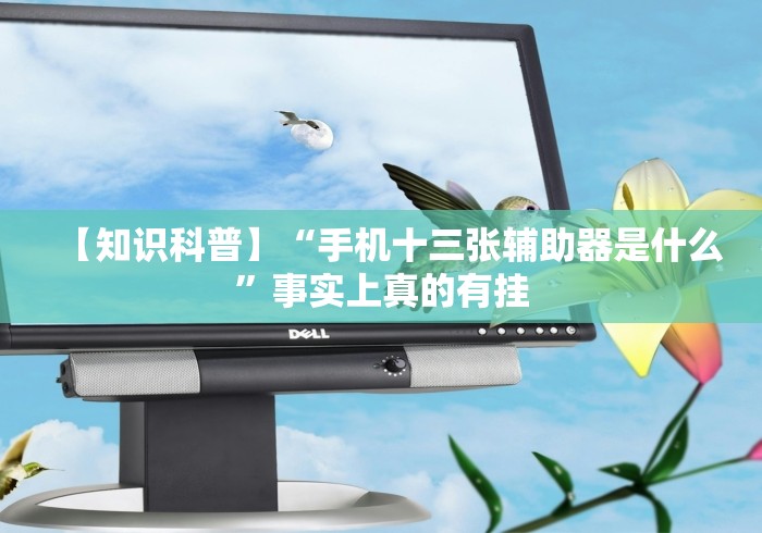 【知识科普】“手机十三张辅助器是什么”事实上真的有挂 【知识科普】“手机十三张辅助器是什么”事实上真的有挂