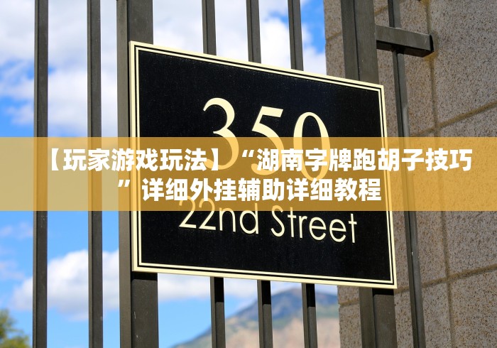 【玩家游戏玩法】“湖南字牌跑胡子技巧”详细外挂辅助详细教程