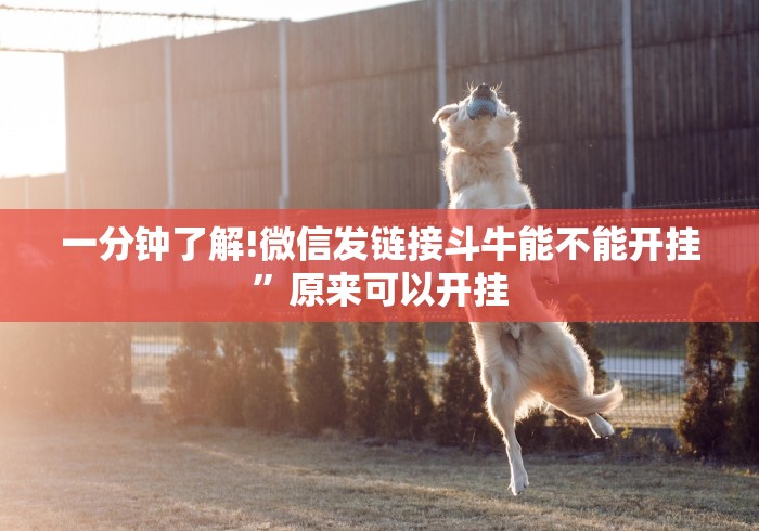 一分钟了解!微信发链接斗牛能不能开挂”原来可以开挂