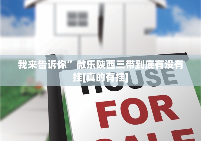 我来告诉你”微乐陕西三带到底有没有挂[真的有挂]