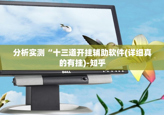 7分钟揭秘"大头十三水可以开挂吗”作弊挂(辅助外挂+