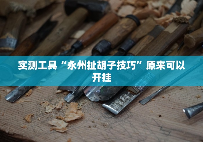 实测工具“永州扯胡子技巧”原来可以开挂