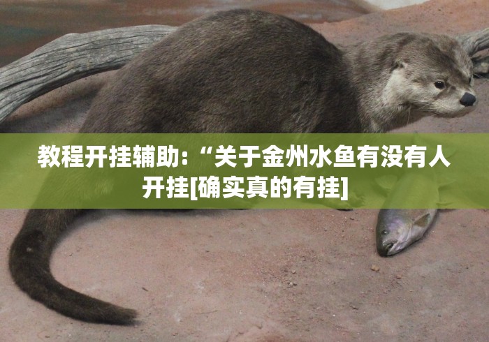 教程开挂辅助:“关于金州水鱼有没有人开挂[确实真的有挂]