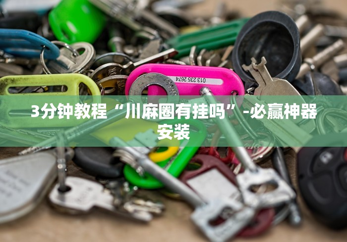 3分钟教程“川麻圈有挂吗”-必赢神器安装
