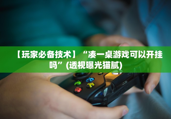 【玩家必备技术】“凑一桌游戏可以开挂吗”(透视曝光猫腻)