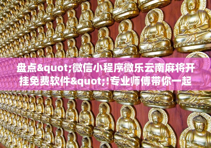 盘点"微信小程序微乐云南麻将开挂免费软件"!专业师傅带你一起了解