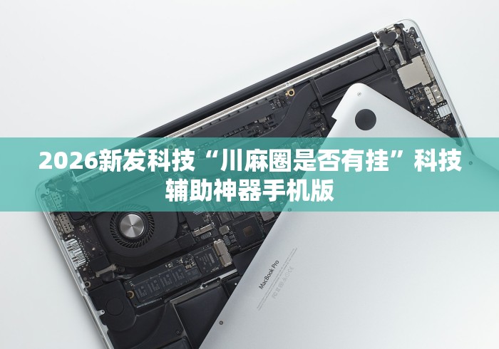 2026新发科技“川麻圈是否有挂”科技辅助神器手机版 2026新发科技“川麻圈是否有挂”科技辅助神器手机版