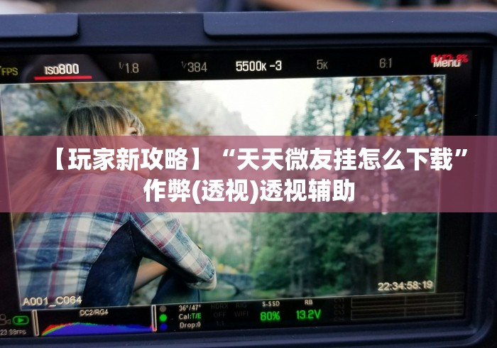 【玩家新攻略】“天天微友挂怎么下载”作弊(透视)透视辅助