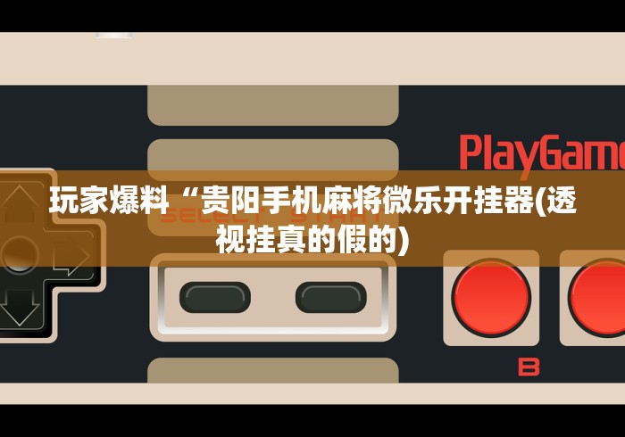 玩家爆料“贵阳手机麻将微乐开挂器(透视挂真的假的)