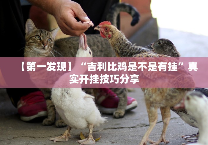 【第一发现】“吉利比鸡是不是有挂”真实开挂技巧分享 【第一发现】“吉利比鸡是不是有挂”真实开挂技巧分享