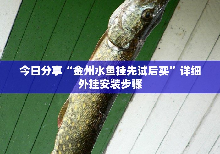 今日分享“金州水鱼挂先试后买”详细外挂安装步骤 今日分享“金州水鱼挂先试后买”详细外挂安装步骤