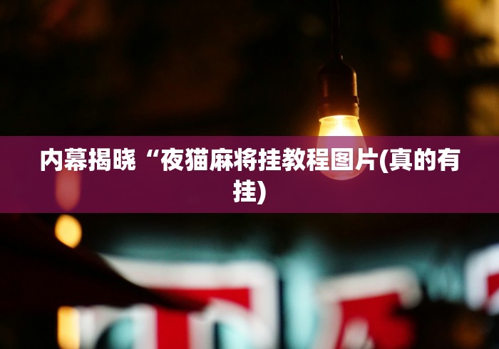 内幕揭晓“夜猫麻将挂教程图片(真的有挂) 内幕揭晓“夜猫麻将挂教程图片(真的有挂)