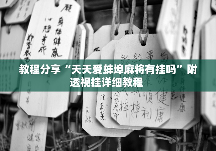 教程分享“天天爱蚌埠麻将有挂吗”附透视挂详细教程 