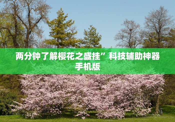 两分钟了解樱花之盛挂”科技辅助神器手机版 两分钟了解樱花之盛挂”科技辅助神器手机版