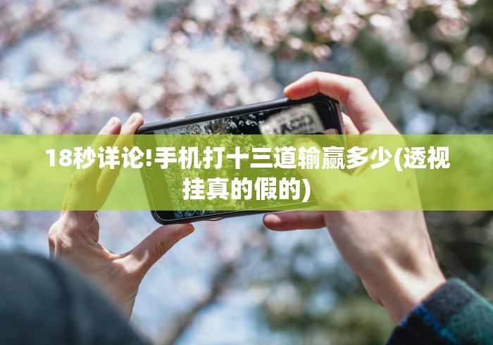 18秒详论!手机打十三道输赢多少(透视挂真的假的) 18秒详论!手机打十三道输赢多少(透视挂真的假的)