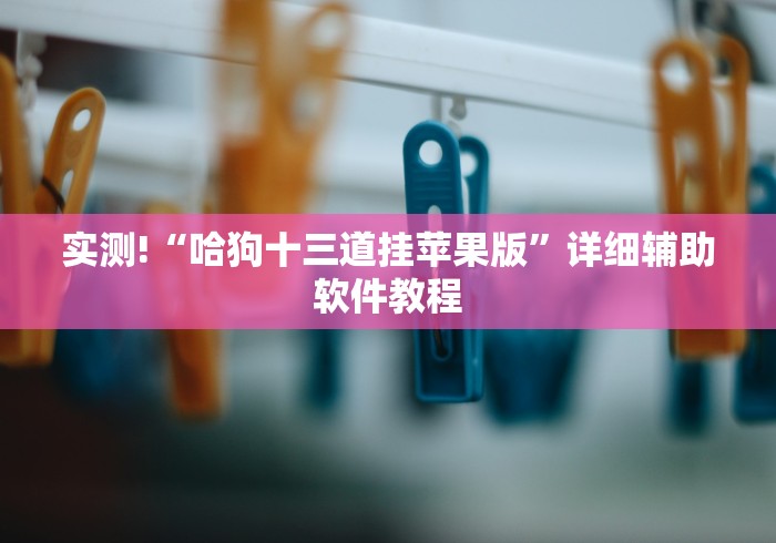 实测!“哈狗十三道挂苹果版”详细辅助软件教程 实测!“哈狗十三道挂苹果版”详细辅助软件教程