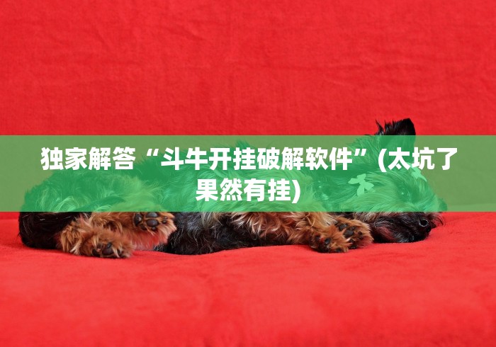 可用版本“微乐麻将小程序必赢方法”(透视曝光猫腻)