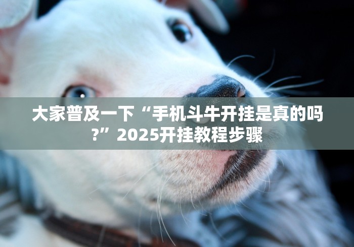 大家普及一下“手机斗牛开挂是真的吗?”2025开挂教程步骤