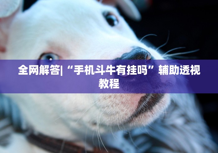 全网解答|“手机斗牛有挂吗”辅助透视教程