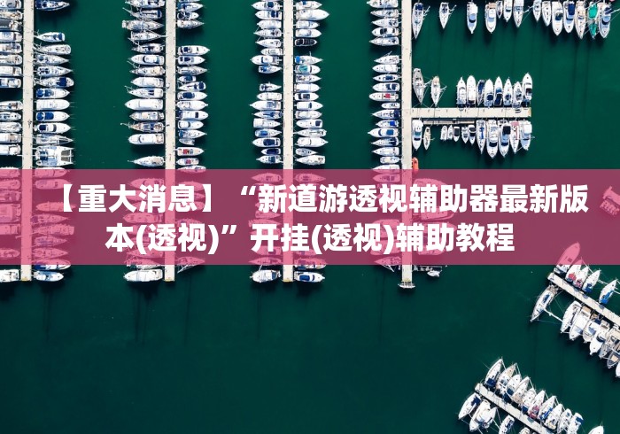 【重大消息】“新道游透视辅助器最新版本(透视)”开挂(透视)辅助教程