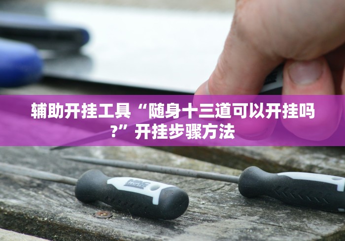 辅助开挂工具“随身十三道可以开挂吗?”开挂步骤方法