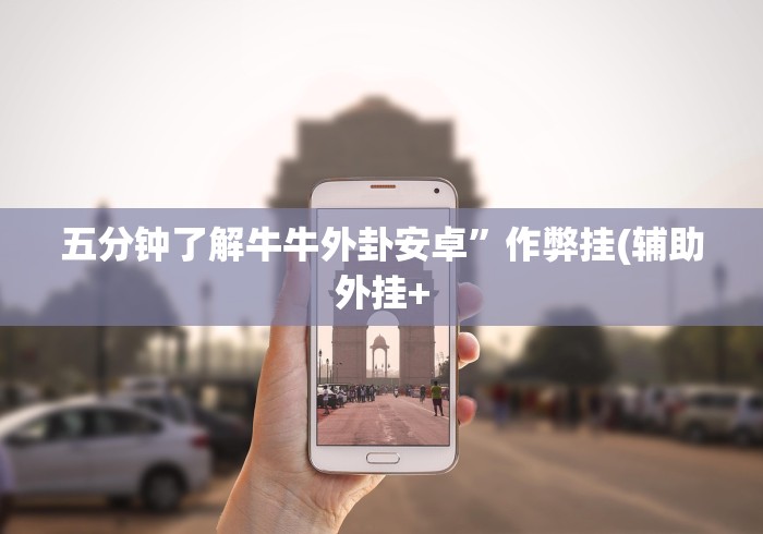 五分钟了解牛牛外卦安卓”作弊挂(辅助外挂+