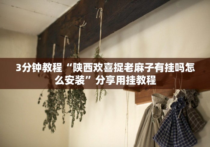 3分钟教程“陕西欢喜捉老麻子有挂吗怎么安装”分享用挂教程