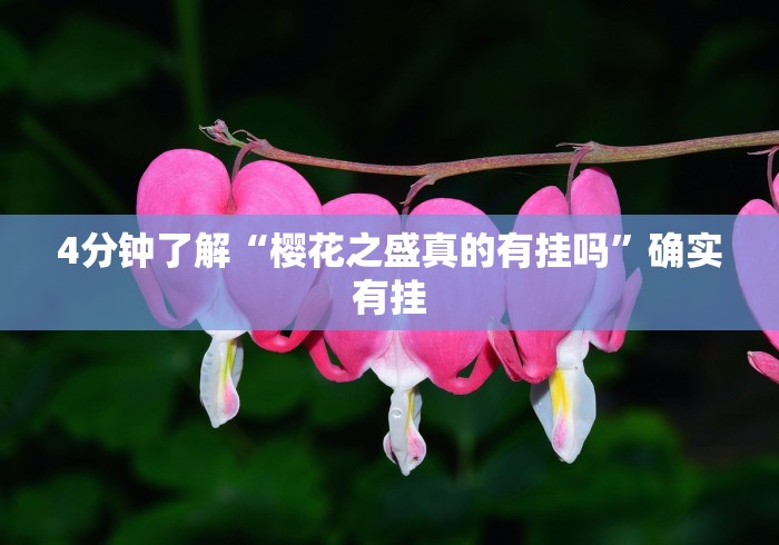 4分钟了解“樱花之盛真的有挂吗”确实有挂