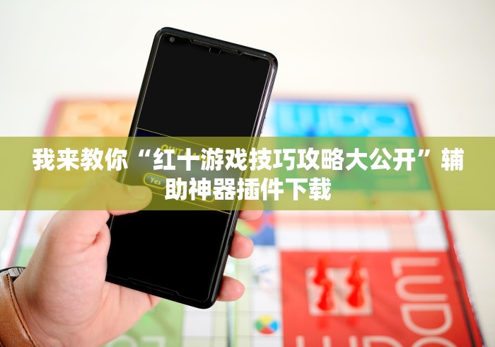我来教你“红十游戏技巧攻略大公开”辅助神器插件下载