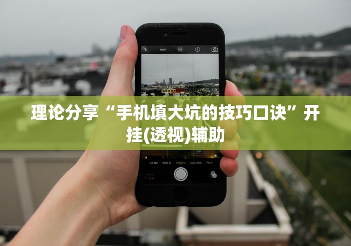 理论分享“手机填大坑的技巧口诀”开挂(透视)辅助