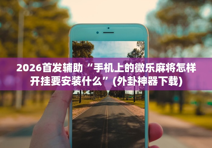 2026首发辅助“手机上的微乐麻将怎样开挂要安装什么”(外卦神器下载)