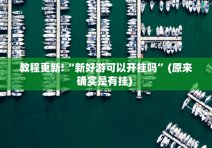 教程更新!“新好游可以开挂吗”(原来确实是有挂) 