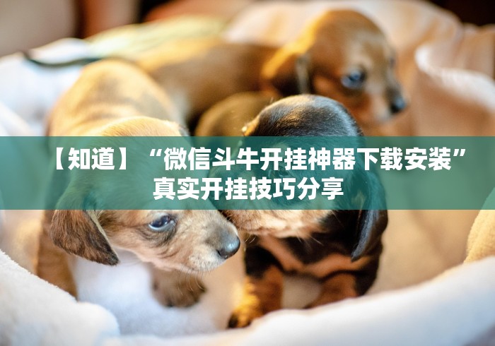【知道】“微信斗牛开挂神器下载安装”真实开挂技巧分享