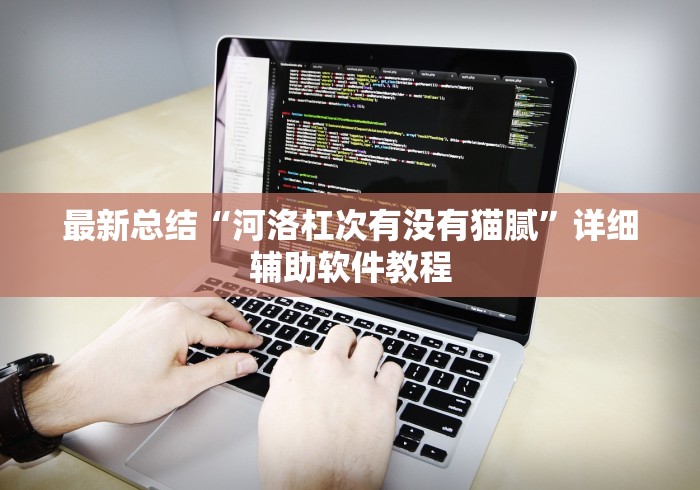 最新总结“河洛杠次有没有猫腻”详细辅助软件教程