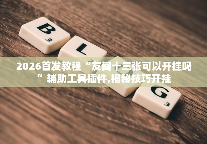 2026首发教程“友间十三张可以开挂吗”辅助工具插件,揭秘技巧开挂
