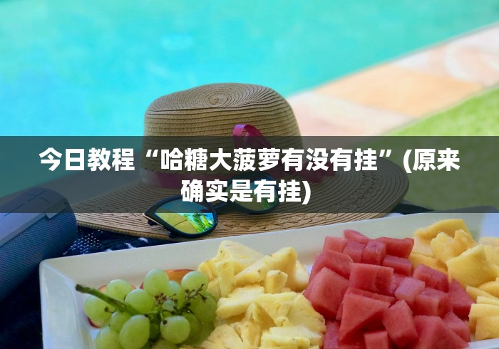 今日教程“哈糖大菠萝有没有挂”(原来确实是有挂) 