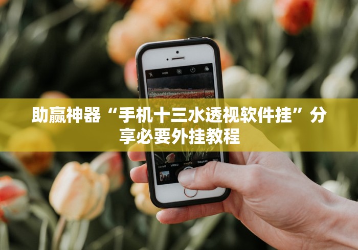 助赢神器“手机十三水透视软件挂”分享必要外挂教程