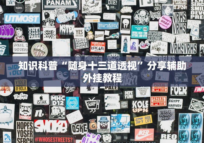 知识科普“随身十三道透视”分享辅助外挂教程