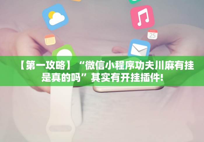 【第一攻略】“微信小程序功夫川麻有挂是真的吗”其实有开挂插件!