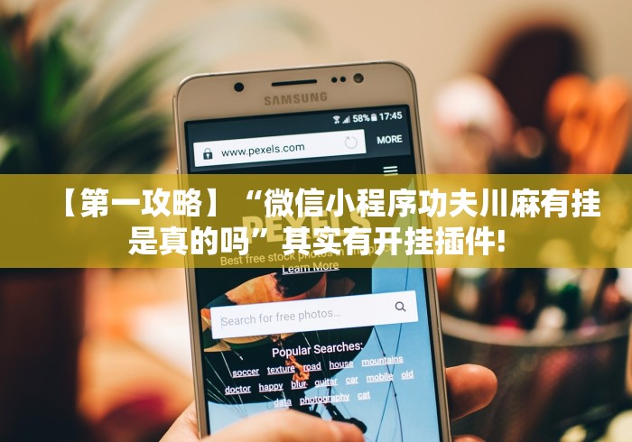 【第一攻略】“微信小程序功夫川麻有挂是真的吗”其实有开挂插件!