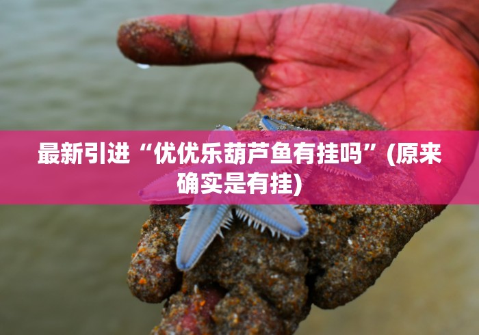 最新引进“优优乐葫芦鱼有挂吗”(原来确实是有挂)