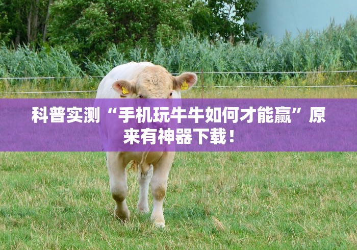 科普实测“手机玩牛牛如何才能赢”原来有神器下载！